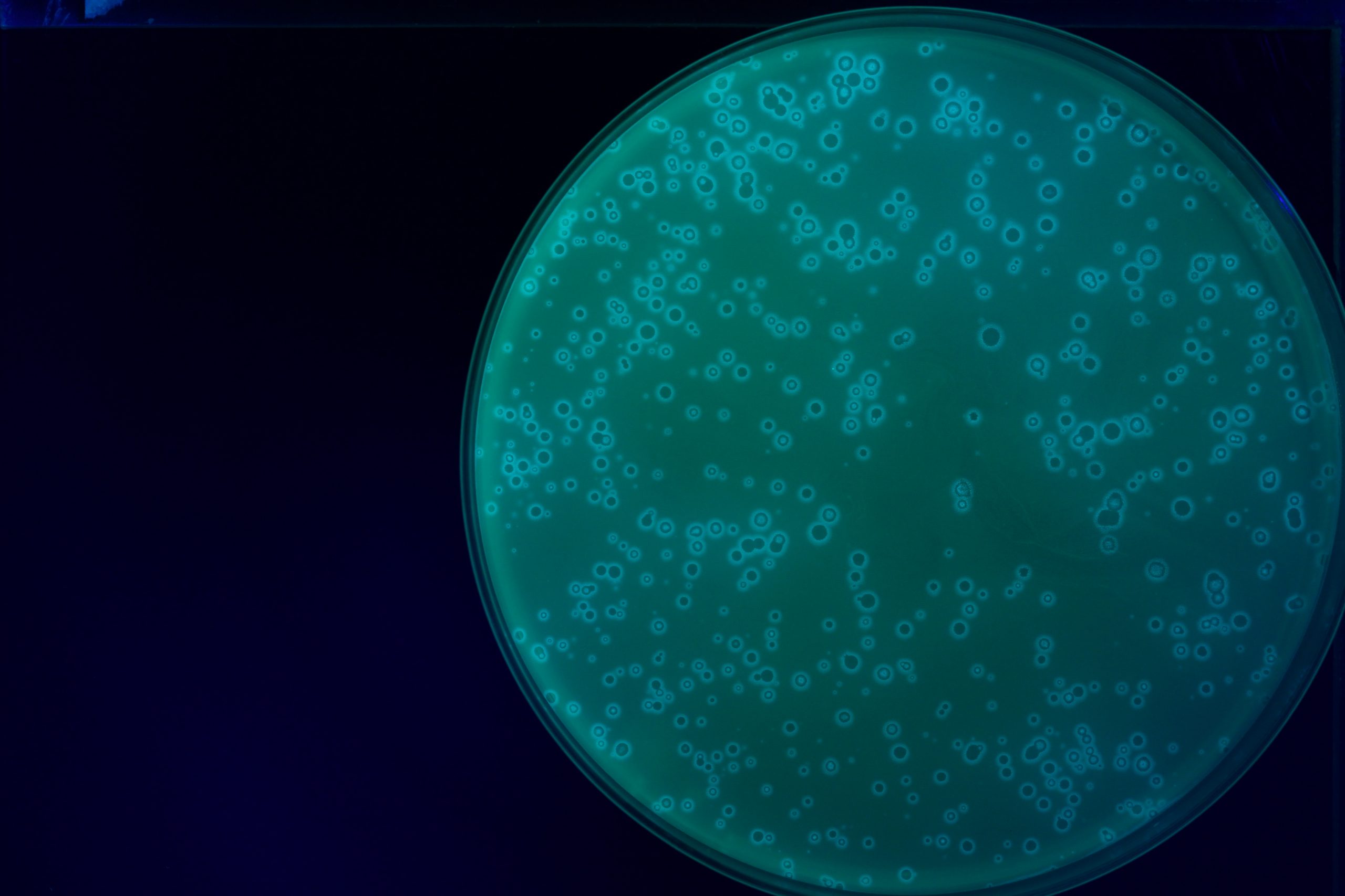 Pathogen Genomics